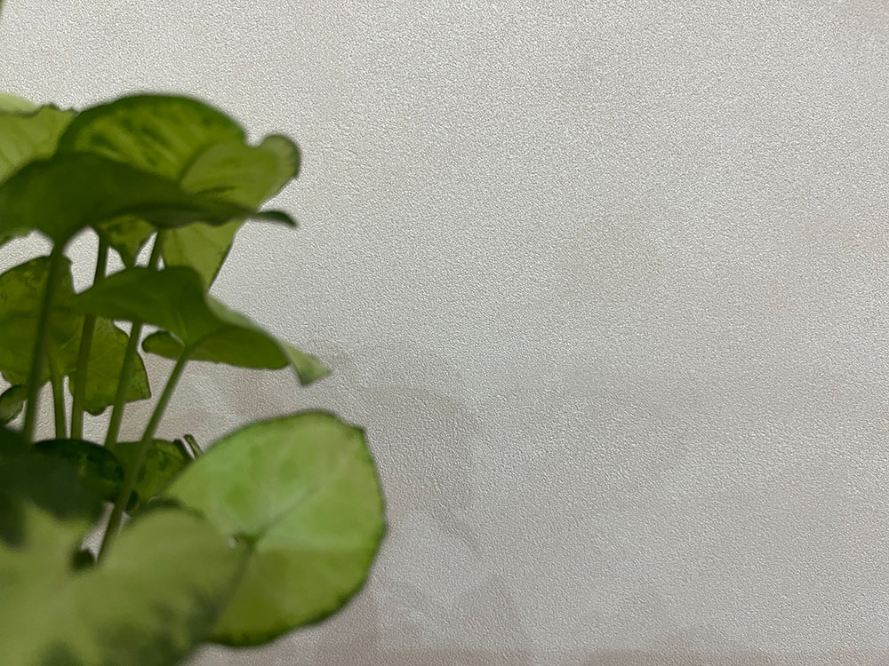 曜晶石